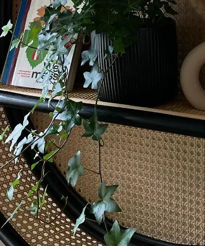 Vierzigerhof Langenlois